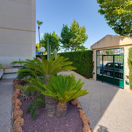 Apartamentos Oasis 알비르 외부 사진